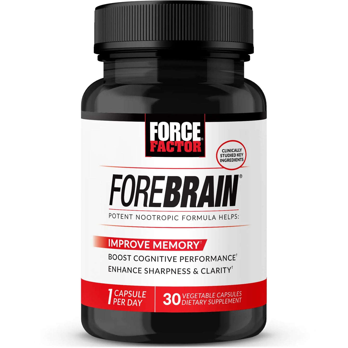 Forebrain Supplement to Improve Memory Boost Focus